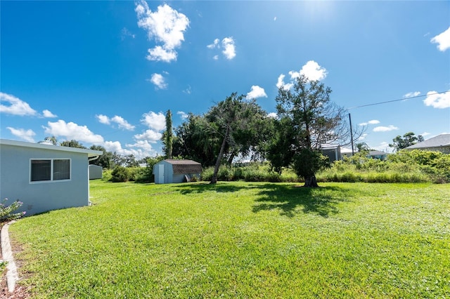 11596 SW Lemon Ave, Arcadia, FL 34269 - view of grassy yard with a storage unit