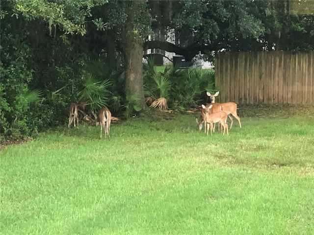 1212 Kennewick Ct, Wesley Chapel, FL 33543 - view of yard
