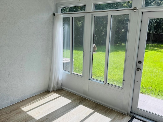 1212 Kennewick Ct, Wesley Chapel, FL 33543 - doorway to outside featuring a textured wall and wood finished floors