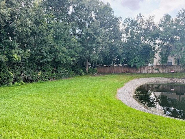 1212 Kennewick Ct, Wesley Chapel, FL 33543 - view of yard
