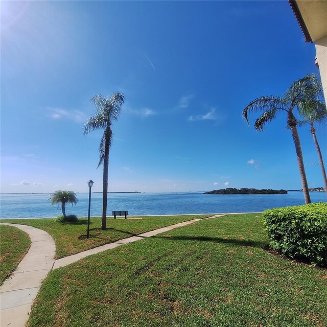132 1st St E Unit 101, Tierra Verde, FL 33715 - photo 47