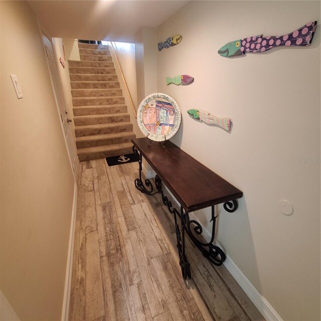 132 1st St E Unit 101, Tierra Verde, FL 33715 - photo 70