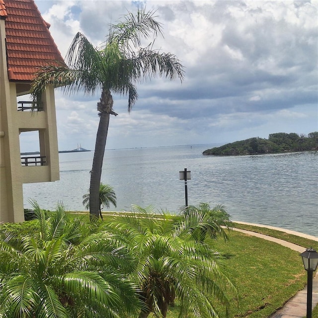 132 1st St E Unit 101, Tierra Verde, FL 33715 - photo 24