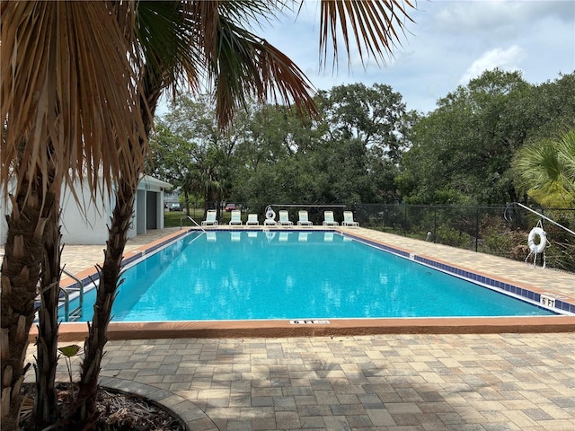 4133 Dolphin Dr Unit 4133, Tampa, FL 33617 - photo 15