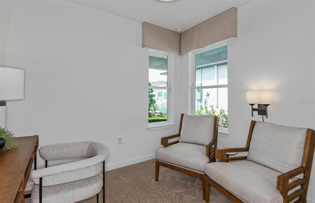 5445 SW 82nd Ter, Ocala, FL 34481 - photo 16