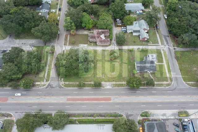 1216 49th St S, Saint Petersburg, FL 33707 - photo 4