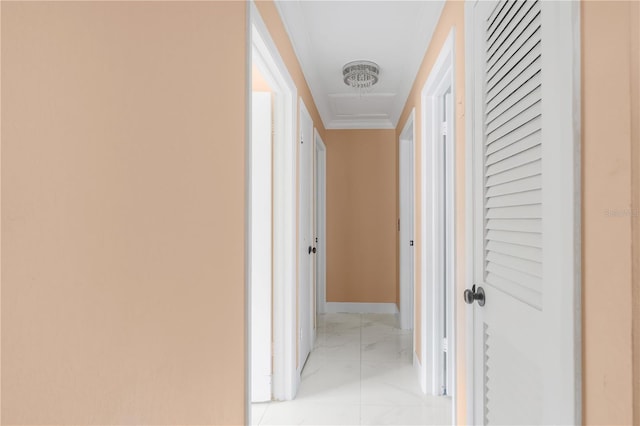 217 Bryan Rd, Brandon, FL 33511 - hallway featuring light marble finish floors and ornamental molding