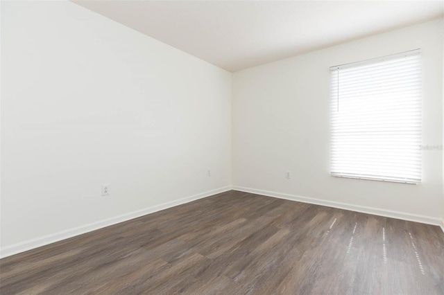 25236 Flying Ebony Ln, Wesley Chapel, FL 33544 - photo 17