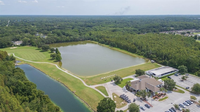 25236 Flying Ebony Ln, Wesley Chapel, FL 33544 - photo 29