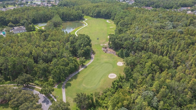 25236 Flying Ebony Ln, Wesley Chapel, FL 33544 - photo 30