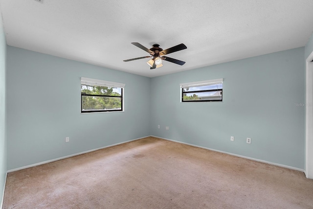 7505 Bramblewood Dr, Port Richey, FL 34668 - photo 11