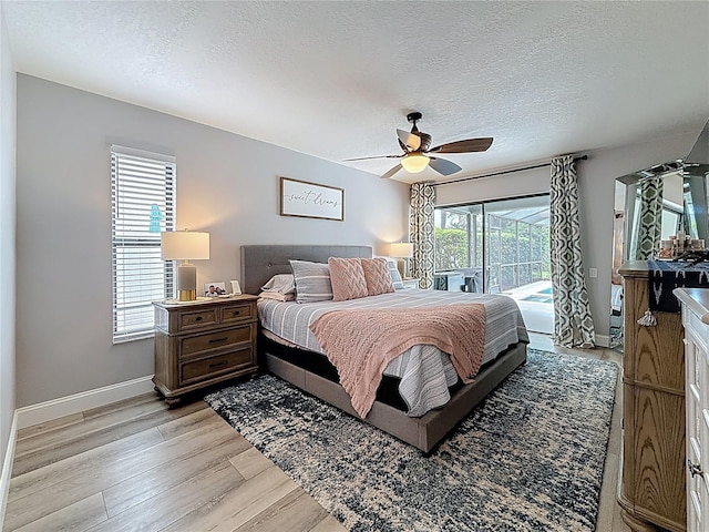 529 Walker Rd, Safety Harbor, FL 34695 - photo 31
