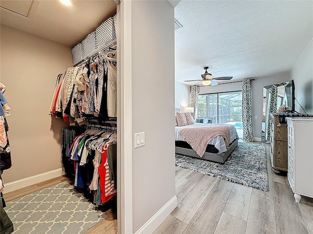 529 Walker Rd, Safety Harbor, FL 34695 - photo 33