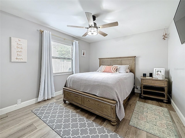 529 Walker Rd, Safety Harbor, FL 34695 - photo 41