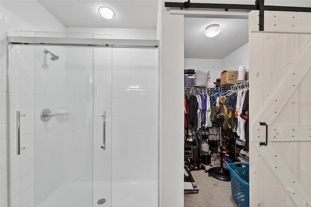 10409 Candleberry Woods Ln, Gibsonton, FL 33534 - full bath featuring a textured ceiling, a stall shower, and a spacious closet