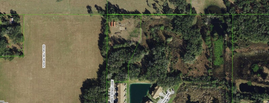 12896 Amber Renee Ln, Dade City, FL 33525 - photo 2