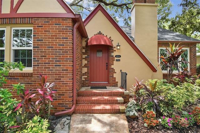 1224 14th Ave N, Saint Petersburg, FL 33705 - photo 2