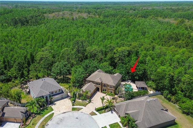 14809 Ninebark Ct, Land O Lakes, FL 34638 - photo 1