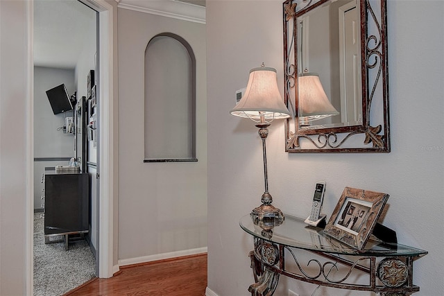 14809 Ninebark Ct, Land O Lakes, FL 34638 - photo 40