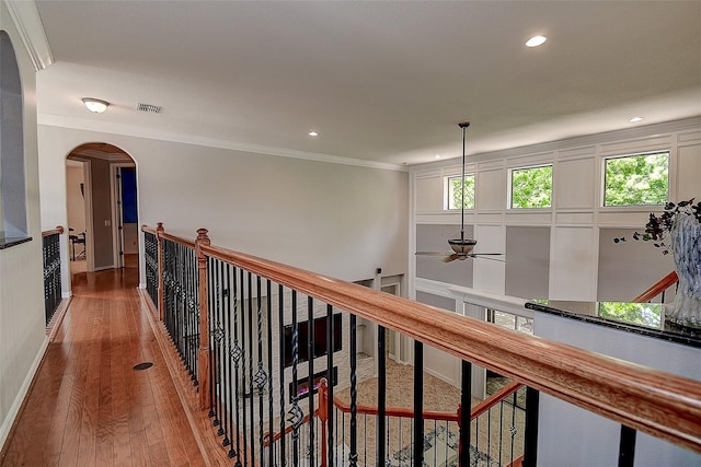 14809 Ninebark Ct, Land O Lakes, FL 34638 - photo 43