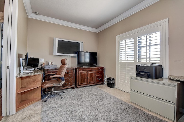 14809 Ninebark Ct, Land O Lakes, FL 34638 - photo 44