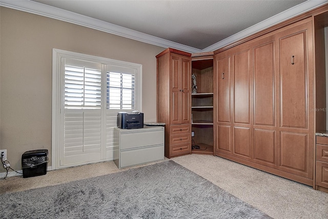 14809 Ninebark Ct, Land O Lakes, FL 34638 - photo 45