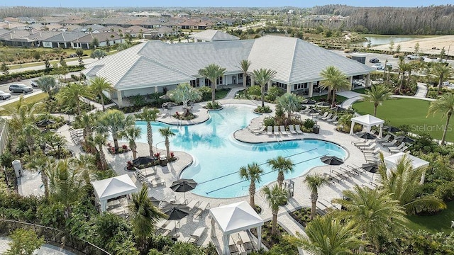 4704 Isonzo Way, Wesley Chapel, FL 33543 - community pool with a gazebo and a patio
