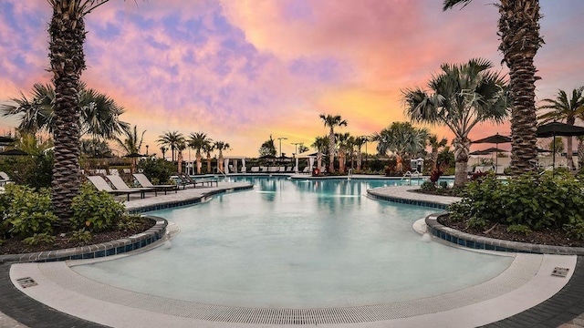 4704 Isonzo Way, Wesley Chapel, FL 33543 - pool at dusk with a community pool and a patio