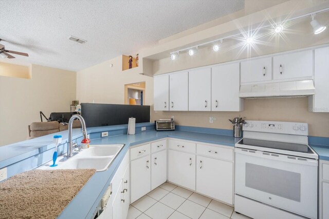7282 Aloe Dr, Spring Hill, FL 34607 - photo 10