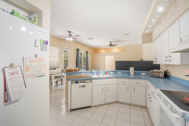 7282 Aloe Dr, Spring Hill, FL 34607 - photo 12