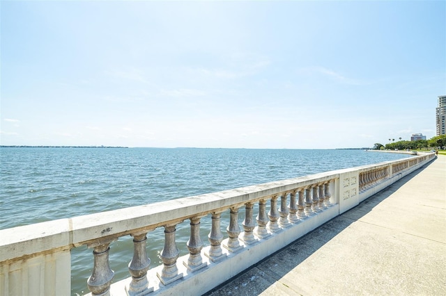 3325 Bayshore Blvd Unit A27, Tampa, FL 33629 - water view