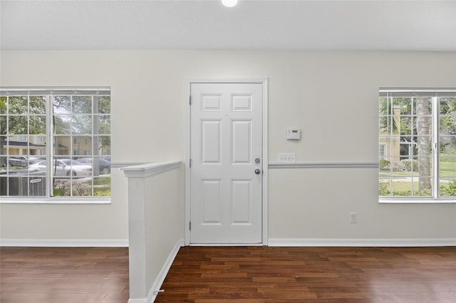 10737 Keys Gate Dr, Riverview, FL 33579 - entryway featuring wood finished floors and plenty of natural light