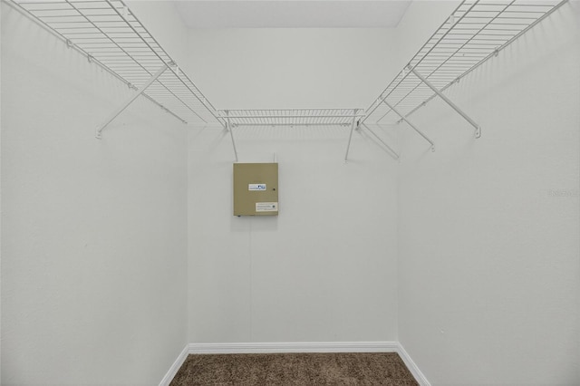 10737 Keys Gate Dr, Riverview, FL 33579 - spacious closet with carpet flooring