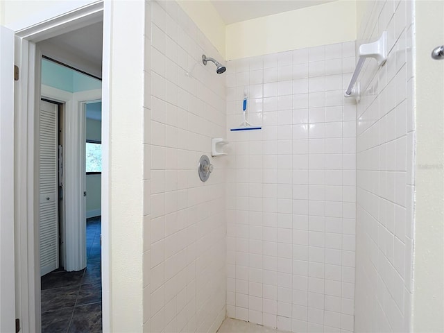 11718 Raintree Village Blvd Unit C, Temple Terrace, FL 33617 - full bath with tiled shower