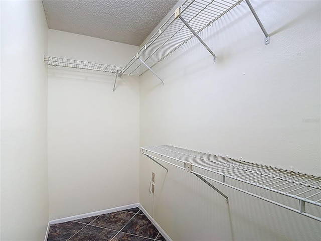 11718 Raintree Village Blvd Unit C, Temple Terrace, FL 33617 - view of spacious closet