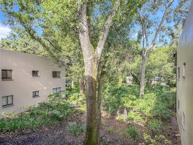 11718 Raintree Village Blvd Unit C, Temple Terrace, FL 33617 - view of yard