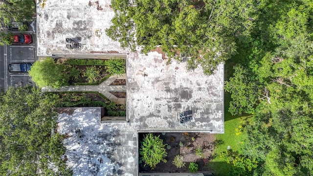 11718 Raintree Village Blvd Unit C, Temple Terrace, FL 33617 - drone / aerial view