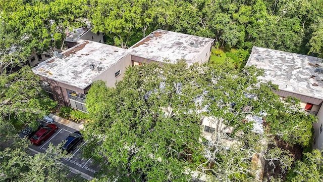 11718 Raintree Village Blvd Unit C, Temple Terrace, FL 33617 - aerial view