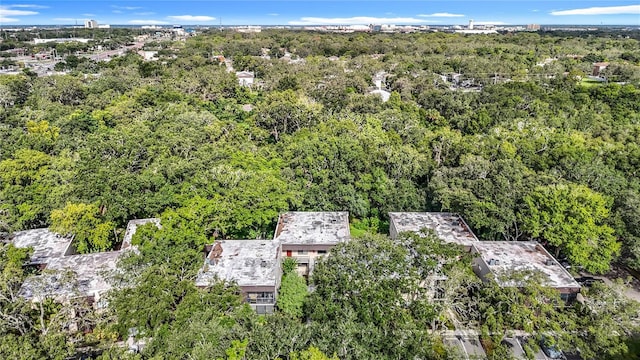 11718 Raintree Village Blvd Unit C, Temple Terrace, FL 33617 - aerial view of a forest