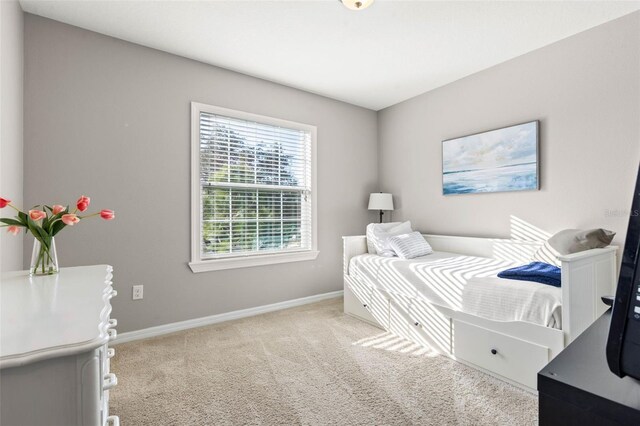 5280 6th Way N, Saint Petersburg, FL 33703 - photo 18