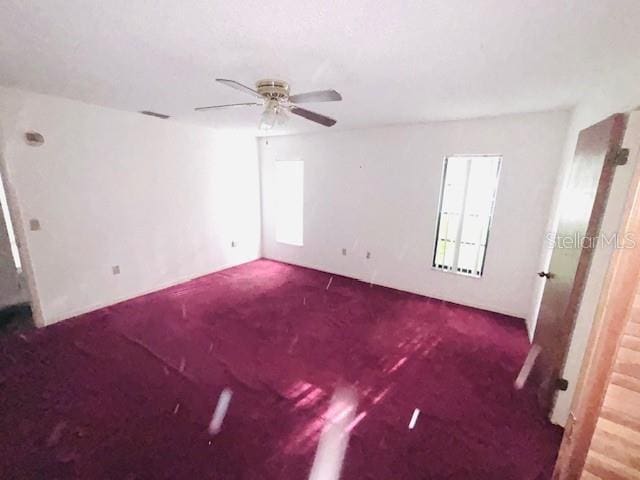 38651 Ferm Cir, Zephyrhills, FL 33540 - photo 12