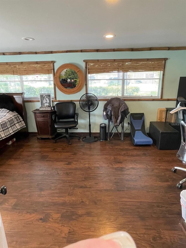 408 Blueberry Ln, Brandon, FL 33510 - bedroom with multiple windows, wood finished floors, and recessed lighting
