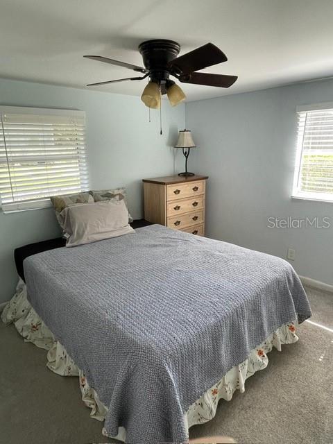 408 Blueberry Ln, Brandon, FL 33510 - bedroom featuring carpet and ceiling fan