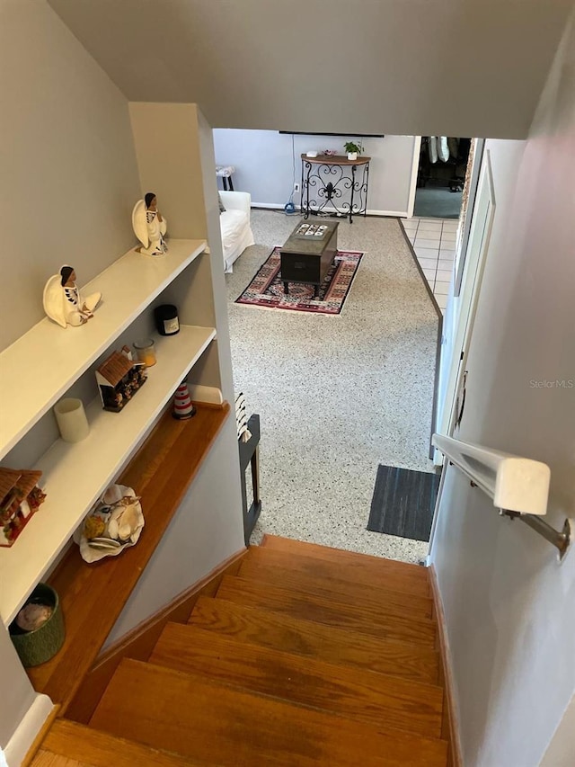 408 Blueberry Ln, Brandon, FL 33510 - view of stairs