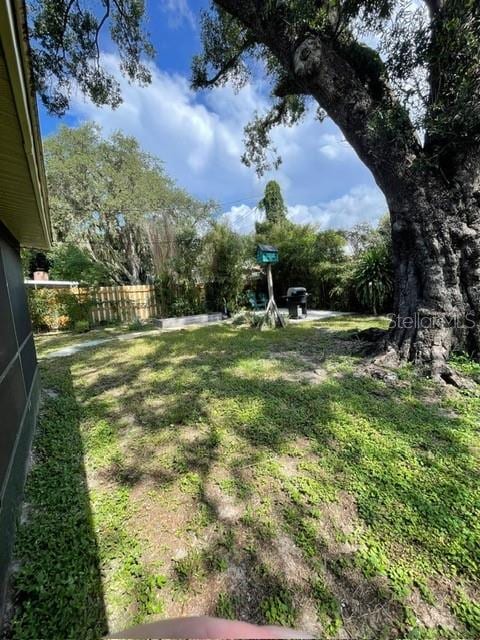 408 Blueberry Ln, Brandon, FL 33510 - view of yard