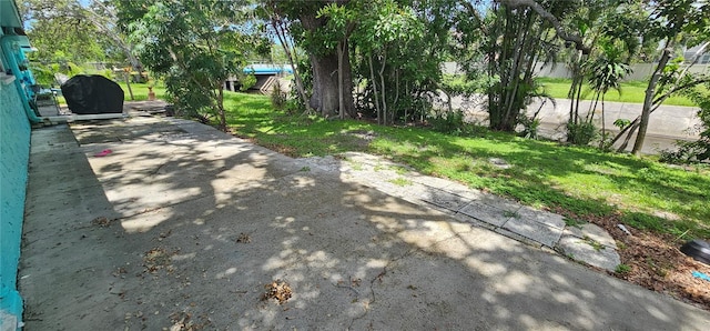 7081 Lafayette N, Pinellas Park, FL 33781 - photo 13
