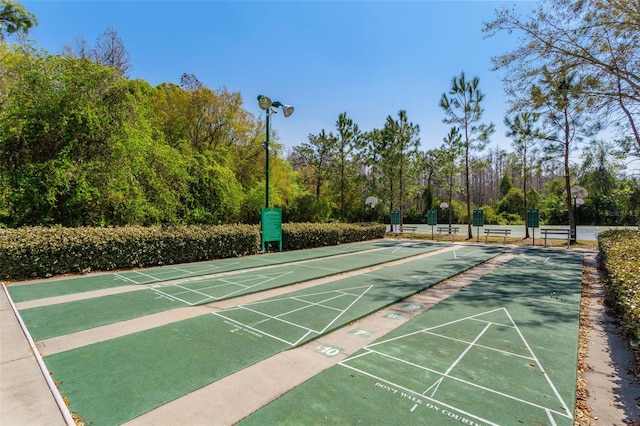 31102 Wrencrest Dr, Wesley Chapel, FL 33543 - photo 45