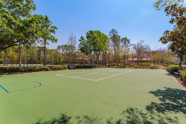 31102 Wrencrest Dr, Wesley Chapel, FL 33543 - photo 48