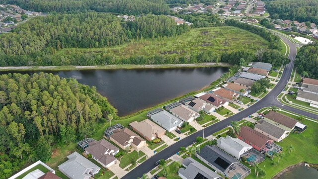 31102 Wrencrest Dr, Wesley Chapel, FL 33543 - photo 35