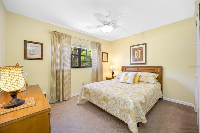 12900 Vonn Rd Unit B101, Largo, FL 33774 - photo 34